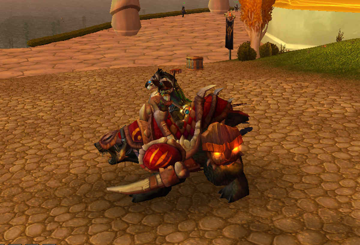 Amani War Bear